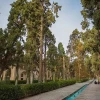 بلیط باغ فین کاشان - تصویر 2